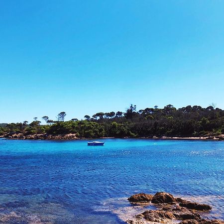 T2 Avec Terrasse & Parking A 5 Min Du Centre, 10 Min Des Plages Hyères Buitenkant foto