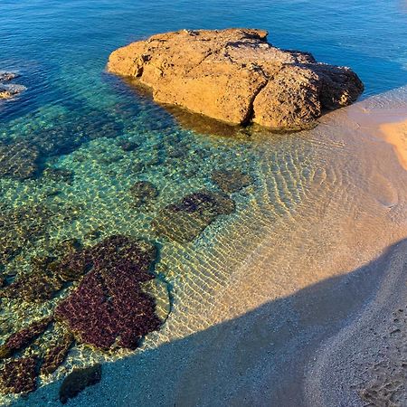 T2 Avec Terrasse & Parking A 5 Min Du Centre, 10 Min Des Plages Hyères Buitenkant foto